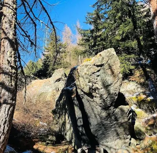 Pour Famille - I Daire